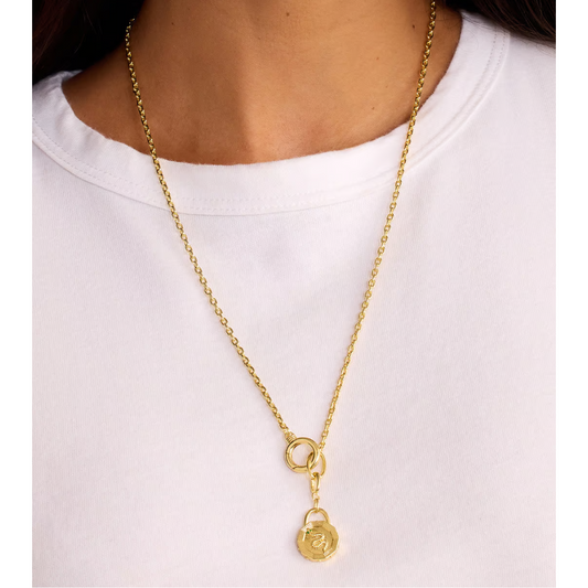 SNAKE COIN PARKER CHARM