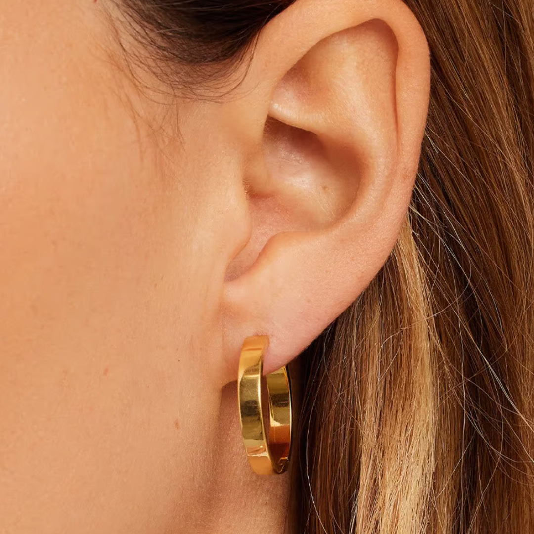 ROSE HOOPS