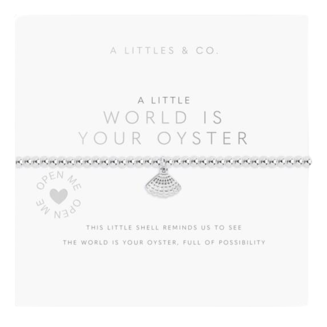 WORLD IS YOUR OYSTER SILVER