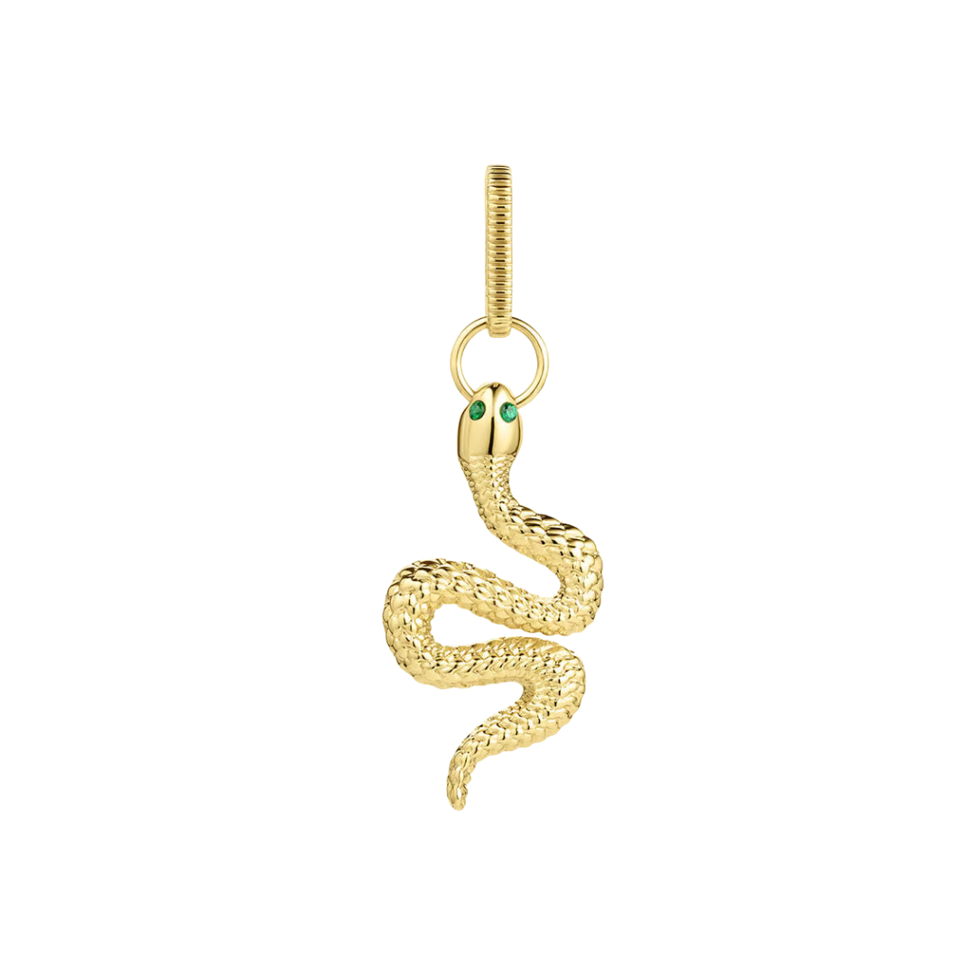 SNAKE STATEMENT CHARM