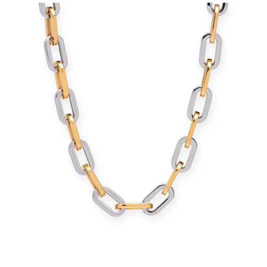 ELLE GAGE TWO TONE NECKLACE