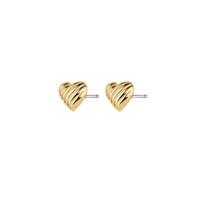 CAMPBELL HEART STUDS