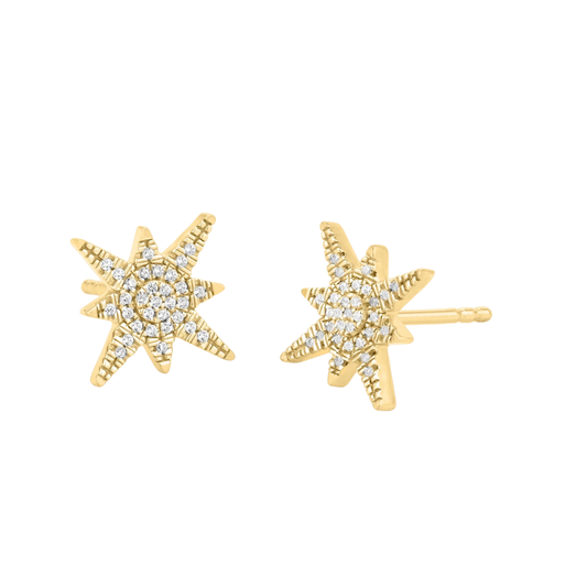 STARGAZER STUD EARRINGS