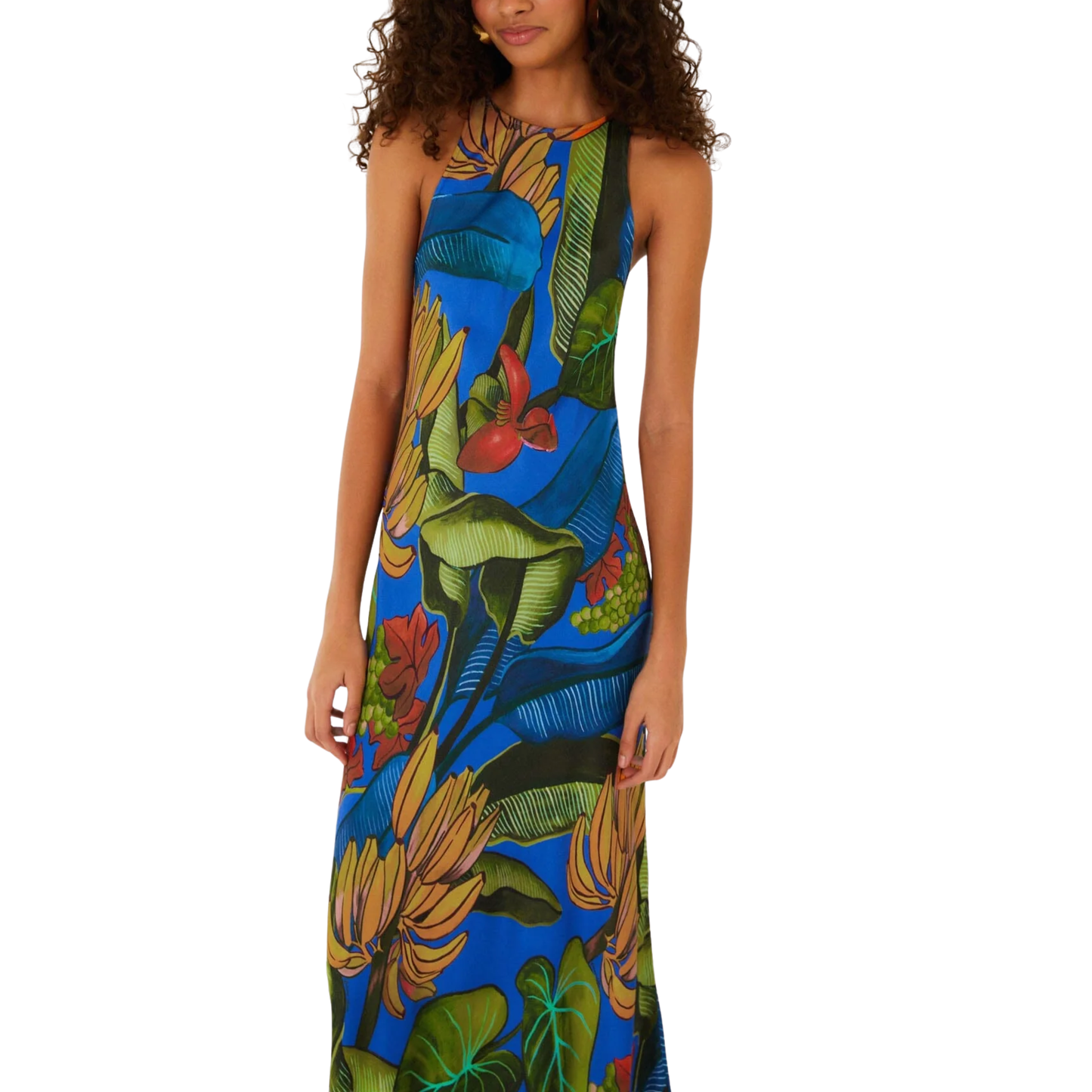 BLUE BANANA GRAPES SLEEVELESS MAXI DRESS