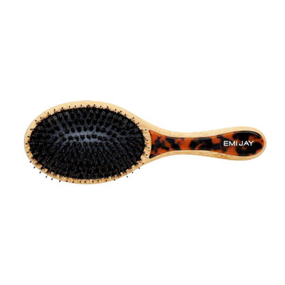 FLAT BRUSH TORTOISE