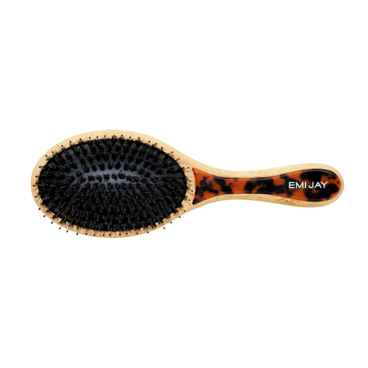 FLAT BRUSH TORTOISE