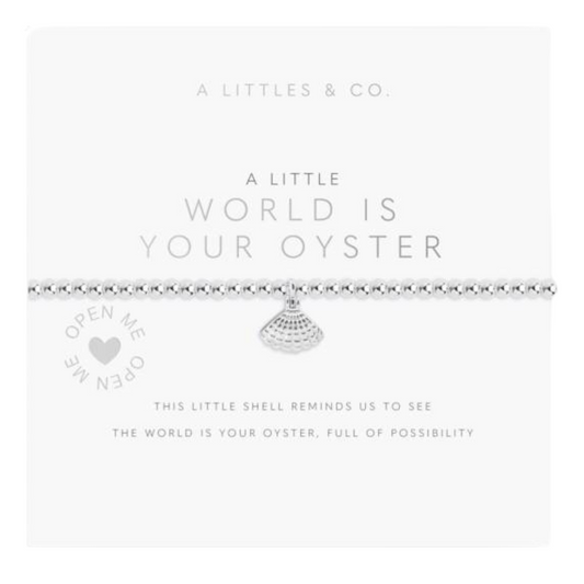 WORLD IS YOUR OYSTER SILVER