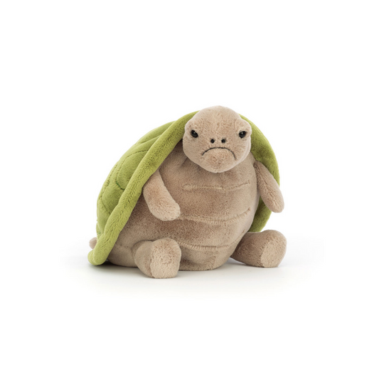 TIMMY TURTLE